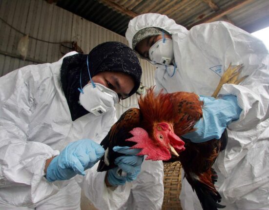 ANALISIS SALUD PUBLICA