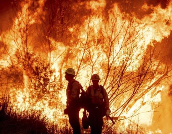 CRECE INCENDIO KENNETH