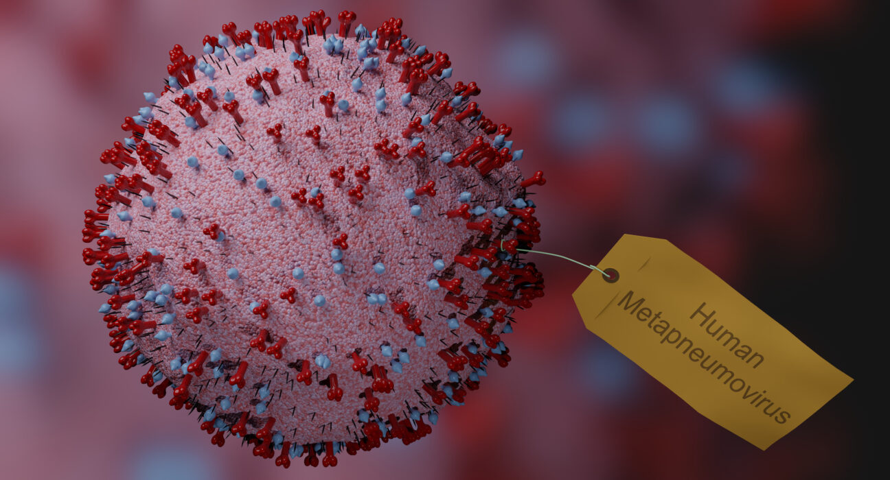 PRESENCIA METAPNEUMOVIRUS RD