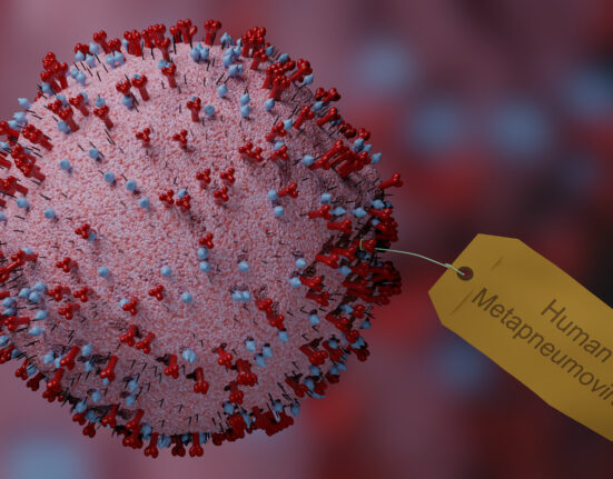 PRESENCIA METAPNEUMOVIRUS RD