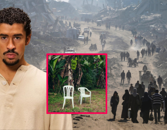 Diseno sin titulo 37