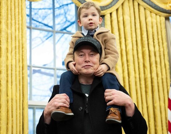 d87bad57 052c 4645 8b23 b2b868f08d92 alta libre aspect ratio default 0