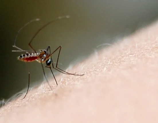 fiocruz 20080504 vinicius marinho 00138 0