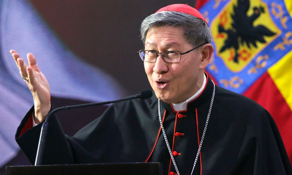 ¿Quién será el próximo Papa? Claves del Cónclave: favoritos, sorpresas y desafíos 4 cardenal