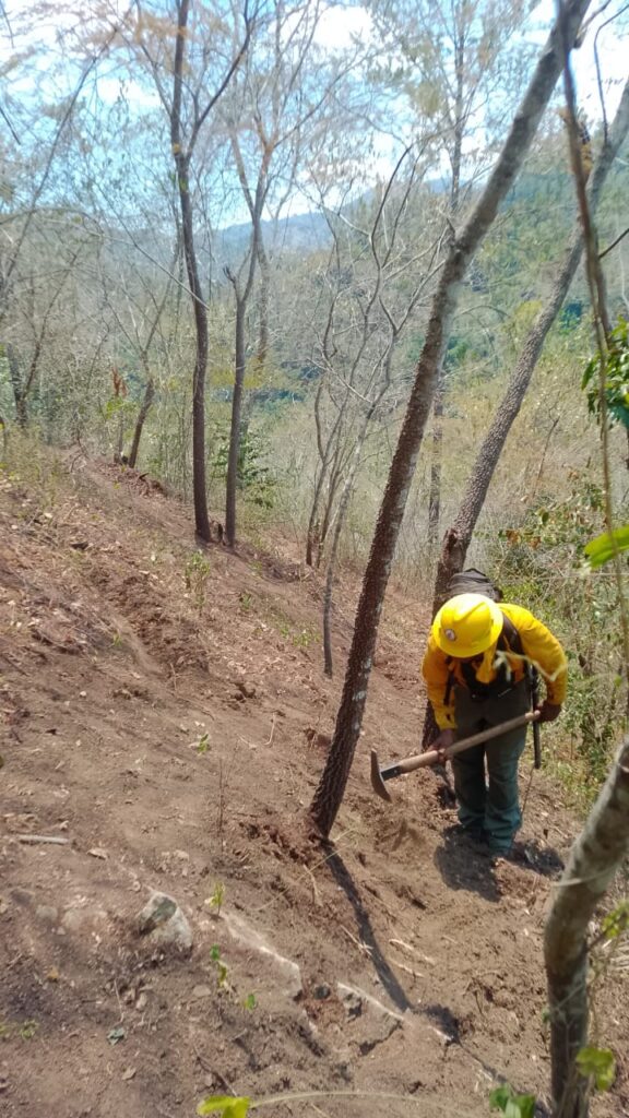 PHOTO 2025 09 02 13 59 04