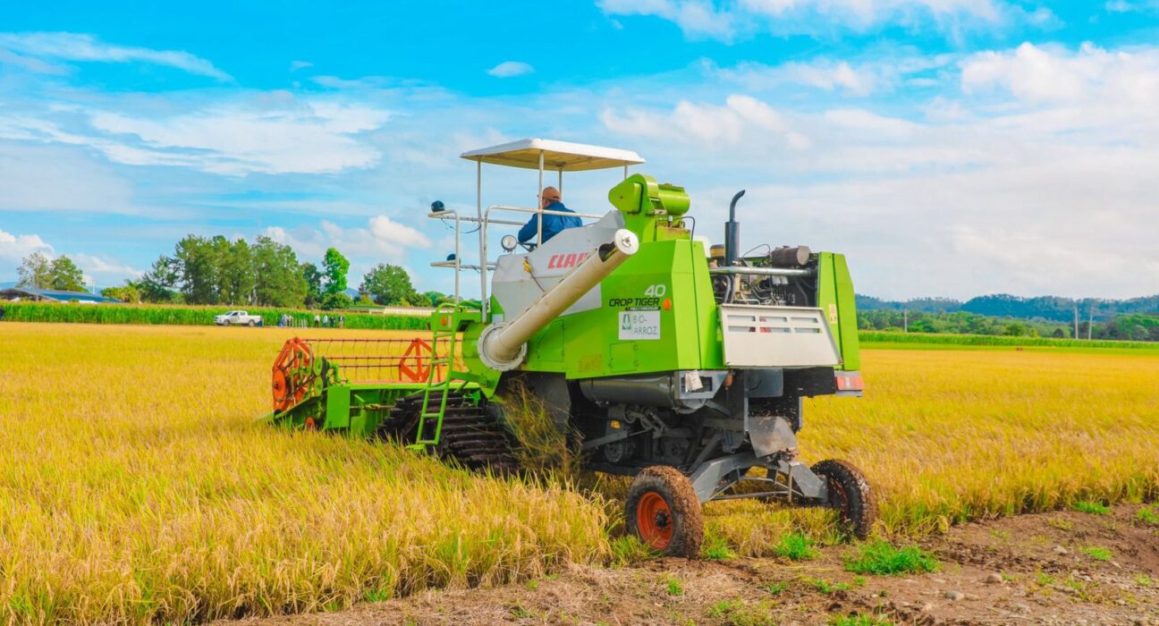 1a0a5f7b 67d7 4a8d b387 3d919d93b6c1