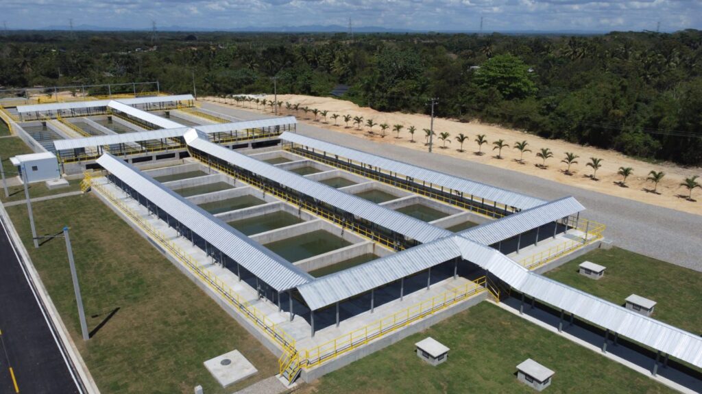 f138474e e212 4717 ae38 2d4aa3e7b849