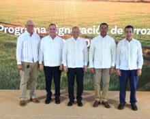 291331da 70a8 419d 9c26 6204854ba965