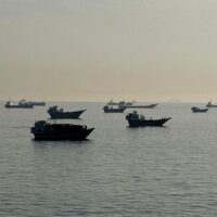 IMG 7449