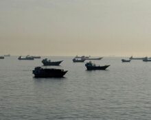 IMG 7449