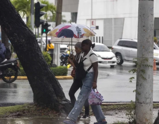 IMG 7511