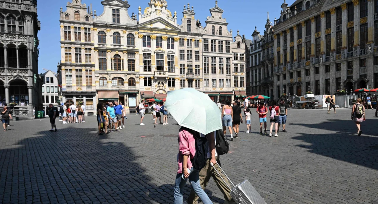 IMG 7512