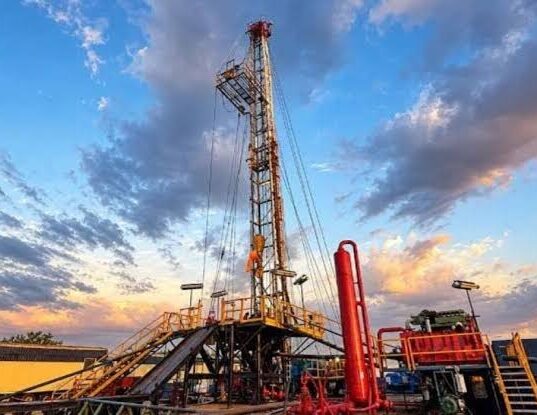 IMG 7548